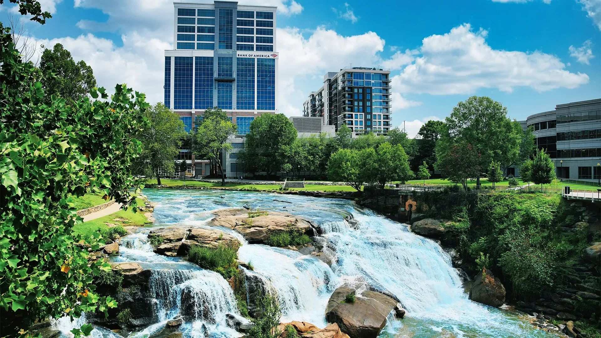 The Cohen Company Greenville, SC Accounting and Tax Services